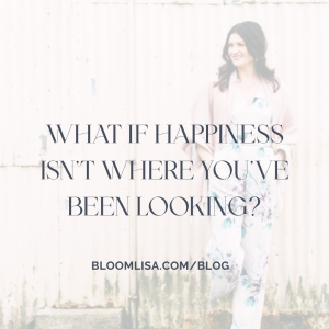 What If Happiness Isn’t Where You’ve Been Looking? - Business Elevation BLOG by Lisa van Reeuwyk
