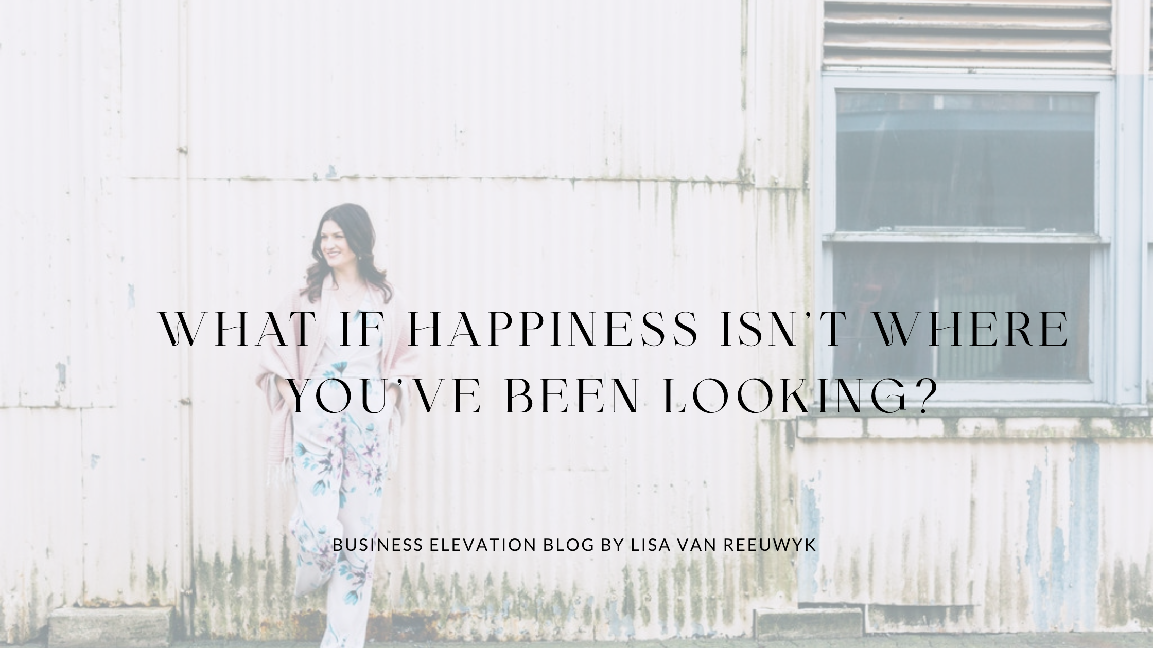 What If Happiness Isn’t Where You’ve Been Looking? - Business Elevation BLOG by Lisa van Reeuwyk