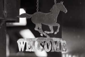 The Gathering with Lisa van Reeuwyk and Lynn Mosely at River Haven Farm