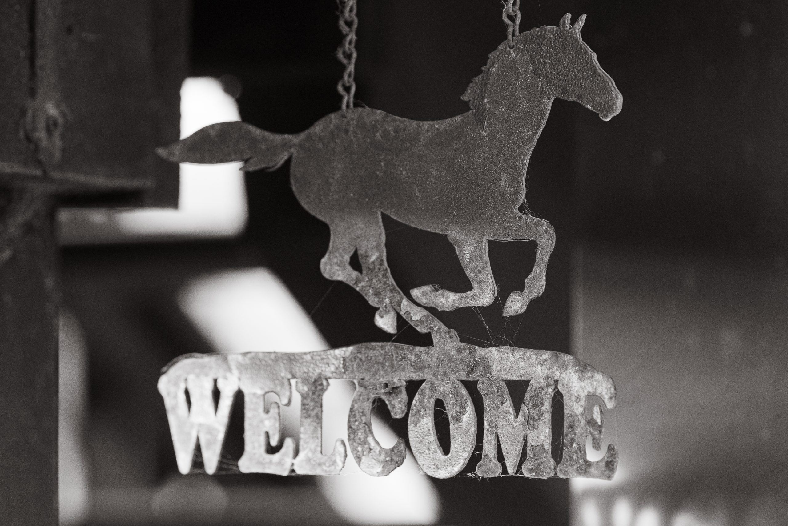 The Gathering with Lisa van Reeuwyk and Lynn Mosely at River Haven Farm